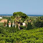 公寓 Duplex Torre La Sal Magic World